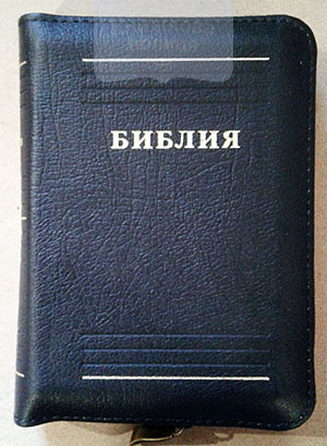 Библия карманная ( кожа, золотой обрез, без индексов)