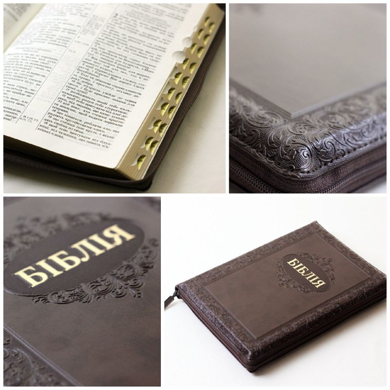 Біблія 073 темно-коричнева / коричнева, рамка-орнамент, блискавка, золотий зріз, індекси,  ляссе (10757)