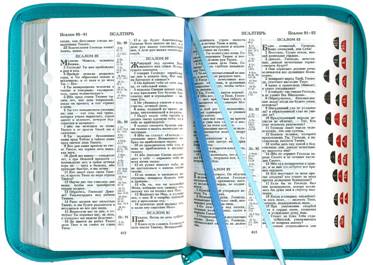 Библия 048 zti (Библейский взгляд, белая/синяя, Флаг Израиля)