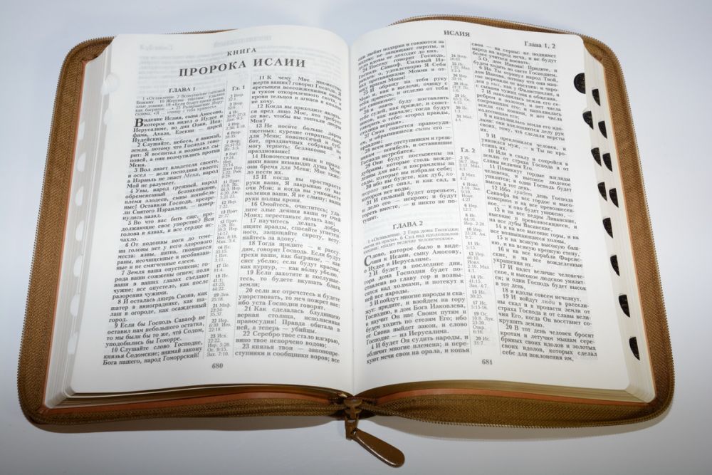 Библия (Гармония, светло-коричн., молн., инд.,зол. обр. V16-072-14) (Виссон)