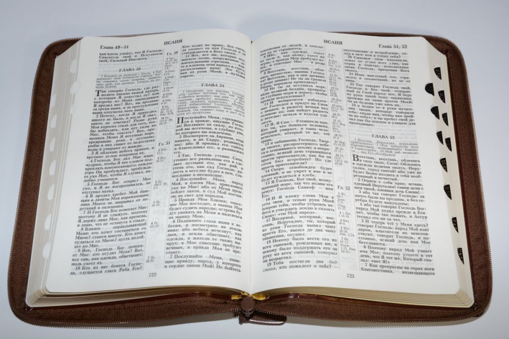 Библия (Коричневая, молн., инд., зол. обр. V16-072-28z) (Виссон)