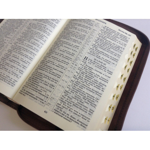 Библия 055 ZTi коричнева вставка с виноградною  лозою індекси, золотий зріз (11544)