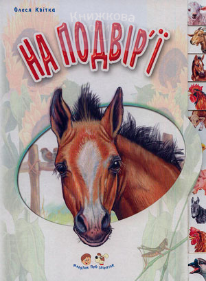 На подвір"ї