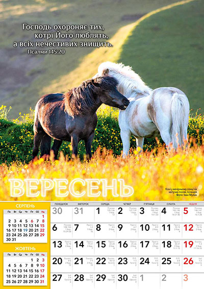 Календар 2027 В тіні крил збережи мене, Боже / перекидний